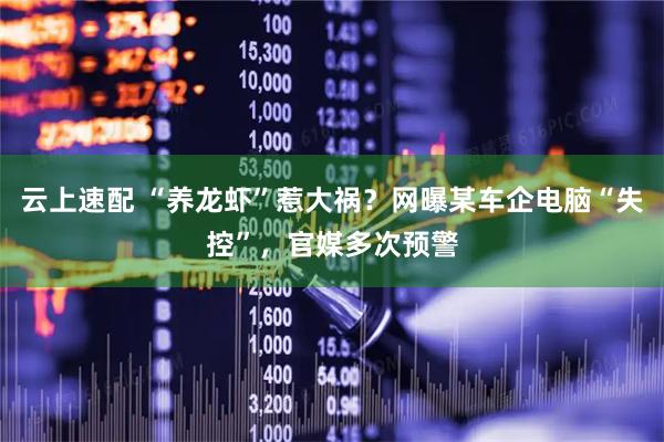 云上速配 “养龙虾”惹大祸？网曝某车企电脑“失控”，官媒多次预警