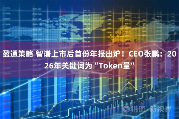 盈通策略 智谱上市后首份年报出炉！CEO张鹏：2026年关键词为“Token量”