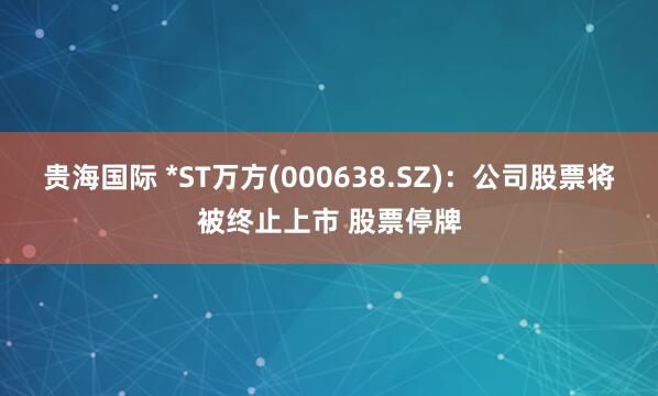 贵海国际 *ST万方(000638.SZ)：公司股票将被终止上市 股票停牌