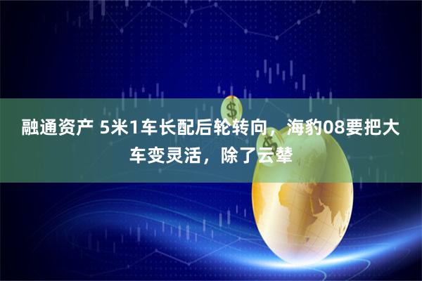 融通资产 5米1车长配后轮转向，海豹08要把大车变灵活，除了云辇