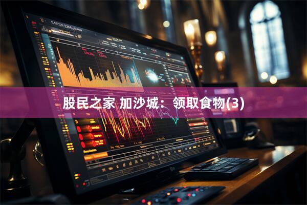 股民之家 加沙城：领取食物(3)
