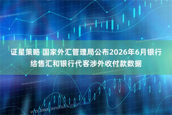 证星策略 国家外汇管理局公布2026年6月银行结售汇和银行代客涉外收付款数据